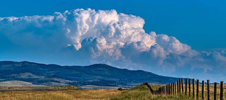 Thunderhead Thunderhead